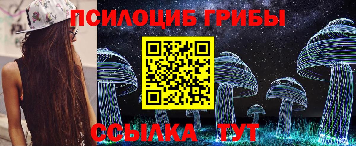 как найти закладки  Вход с VPN  Галлюциногенные грибы мухоморы  Нововоронеж  Псилоцибиновые грибы прущие грибы 