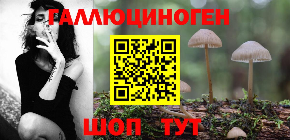 Псилоцибиновые грибы MAGIC MUSHROOMS Нововоронеж